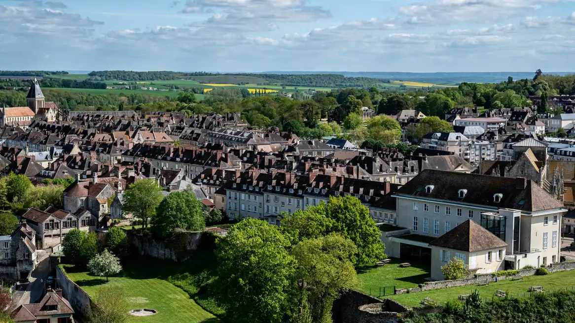 Toits d'ardoise et de tuiles d'une petite ville vus d'en haut, entourés de champs et de bois